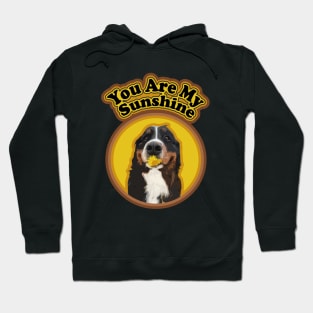 Funny Bernese Mountain Dog with Cute Flower and Sunshine Hoodie